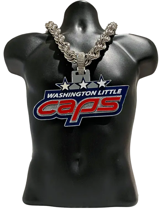Washington Little Caps Hit Champion Award