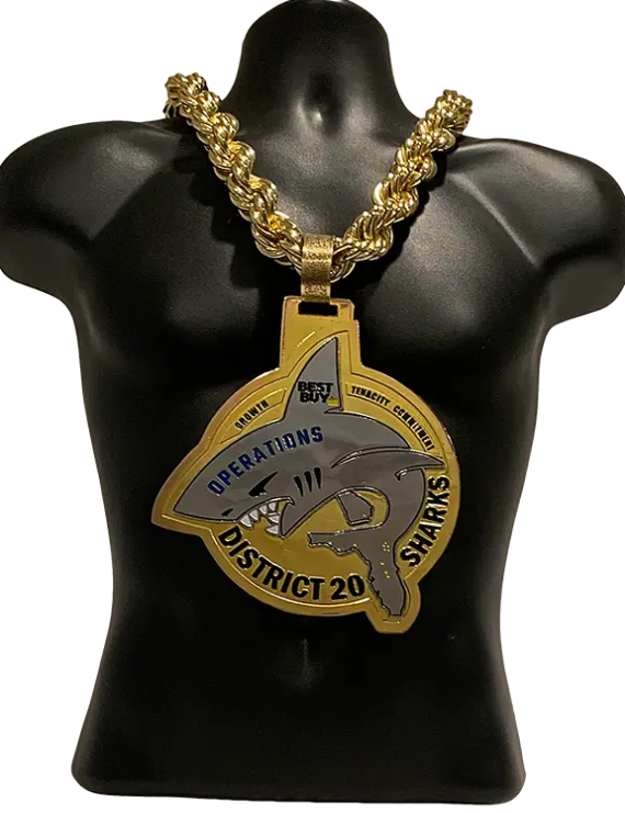 Best Buy District 20 Sales Award Championship Chain