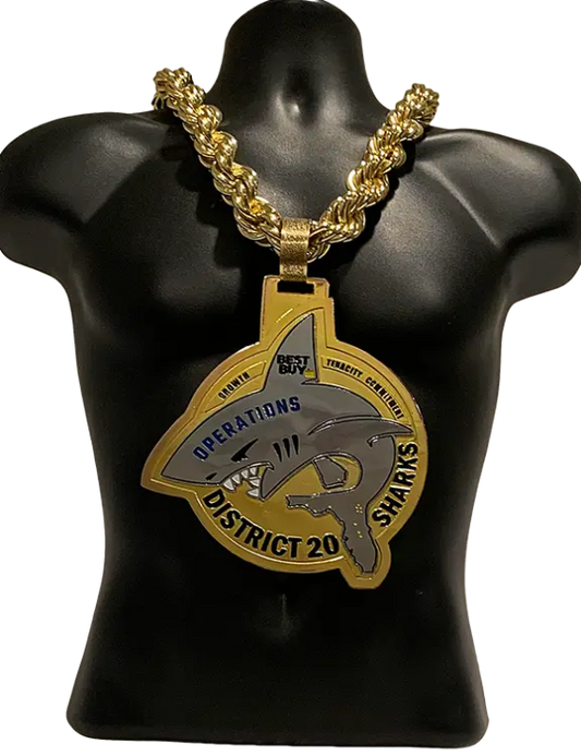 Best Buy District 20 Sales Award Championship Chain